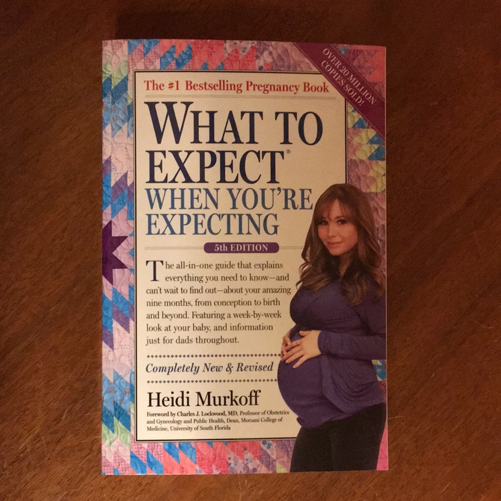 NWOT What to Expect When You’re Expecting Book